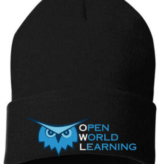 Fierce Owl Stocking Cap (black only)